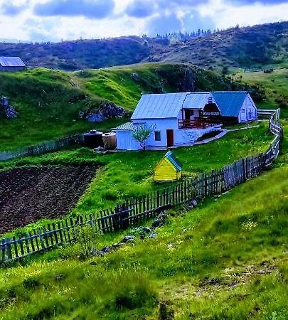 Weekend House In The Piva Nature Park 플루지네 외부 사진