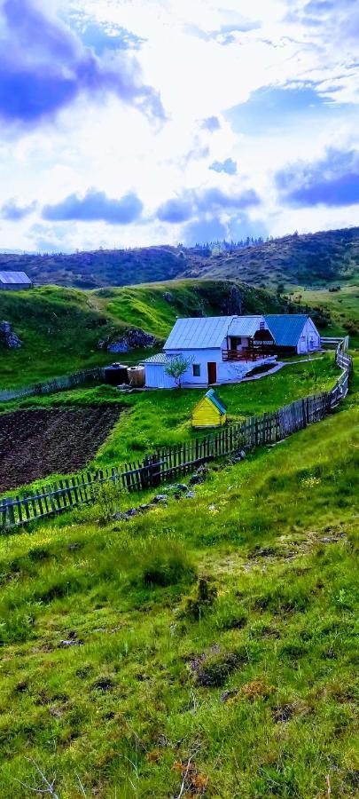 Weekend House In The Piva Nature Park 플루지네 외부 사진