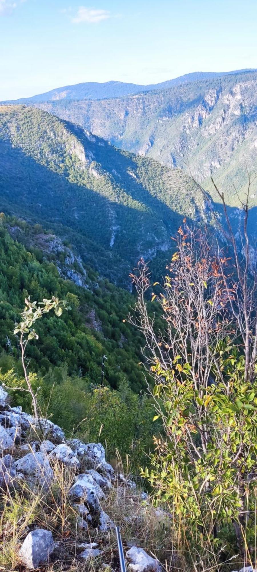 Weekend House In The Piva Nature Park 플루지네 외부 사진
