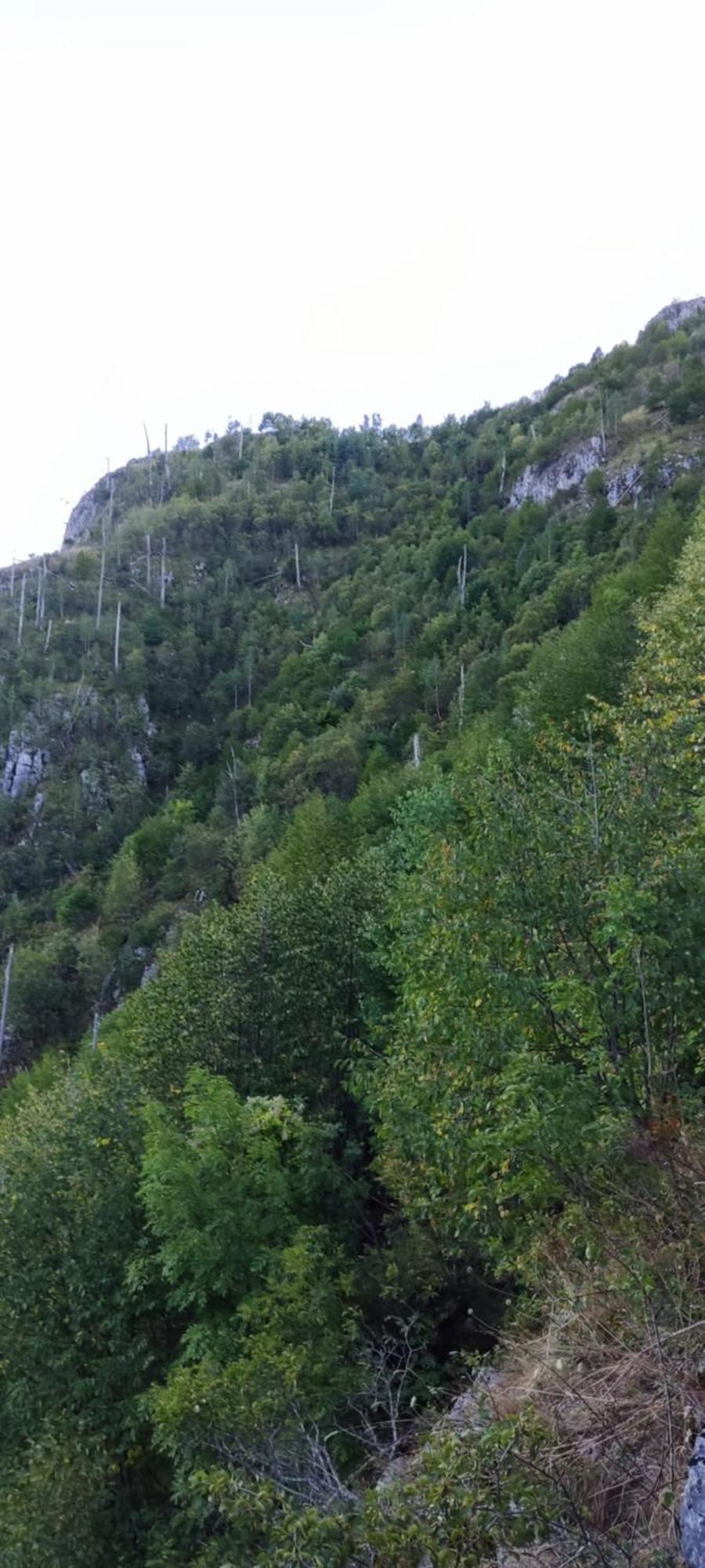 Weekend House In The Piva Nature Park 플루지네 외부 사진