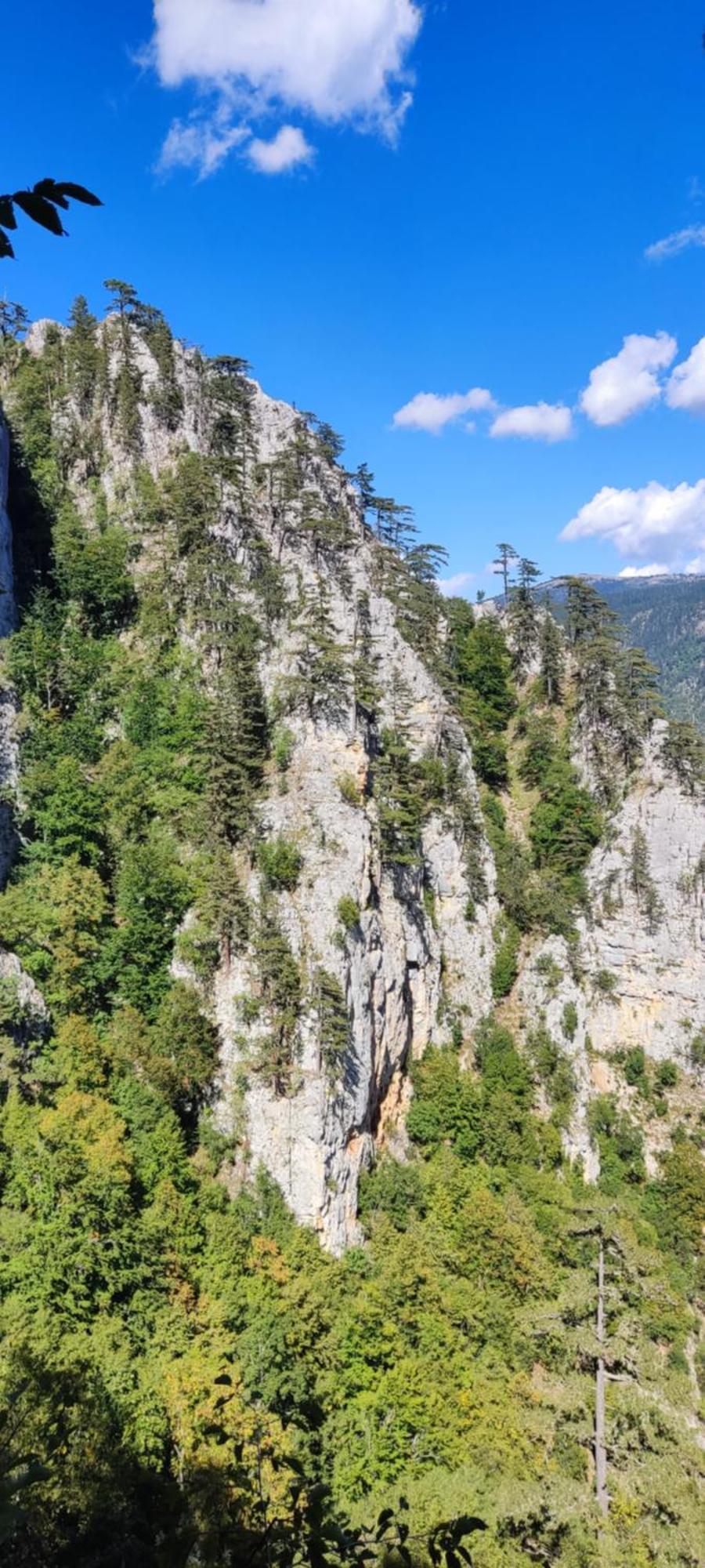 Weekend House In The Piva Nature Park 플루지네 외부 사진