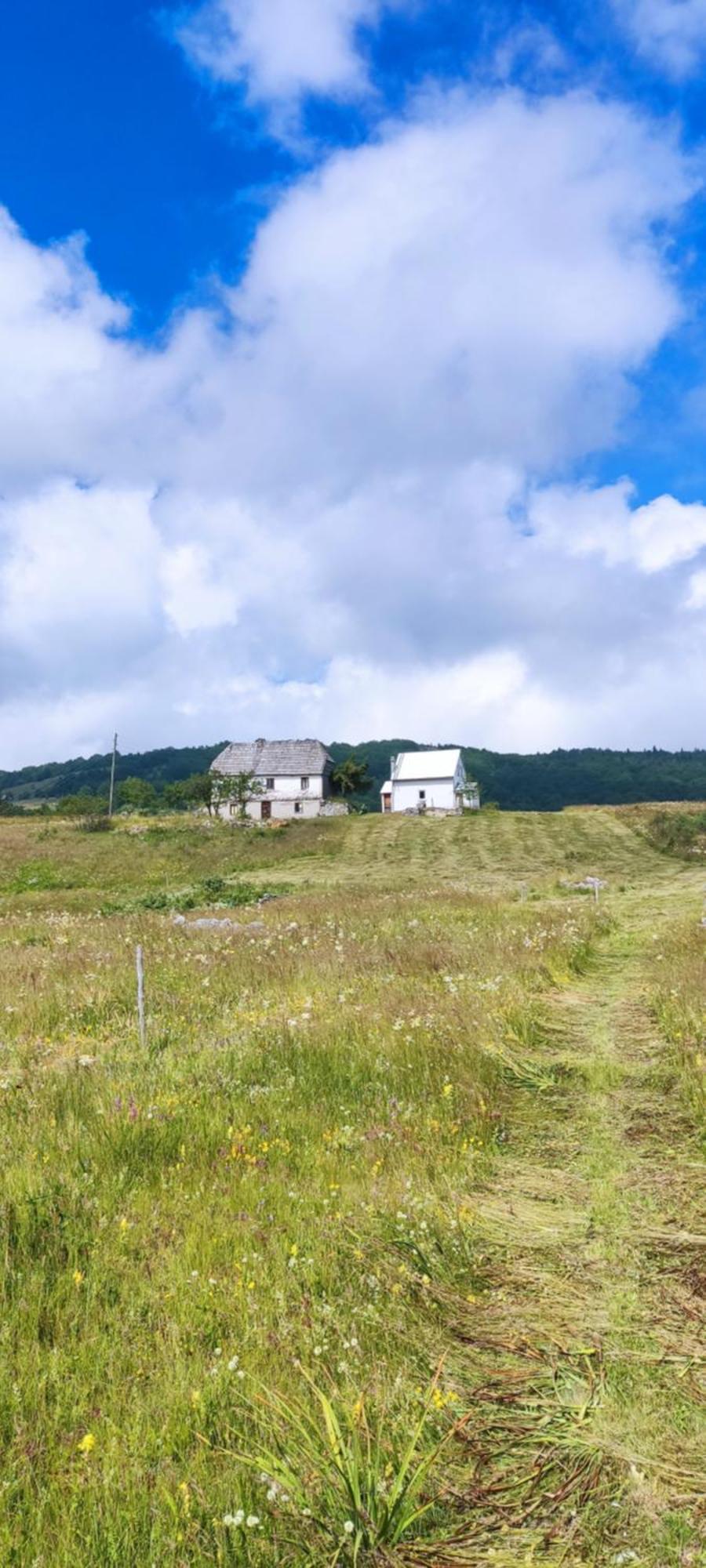 Weekend House In The Piva Nature Park 플루지네 외부 사진
