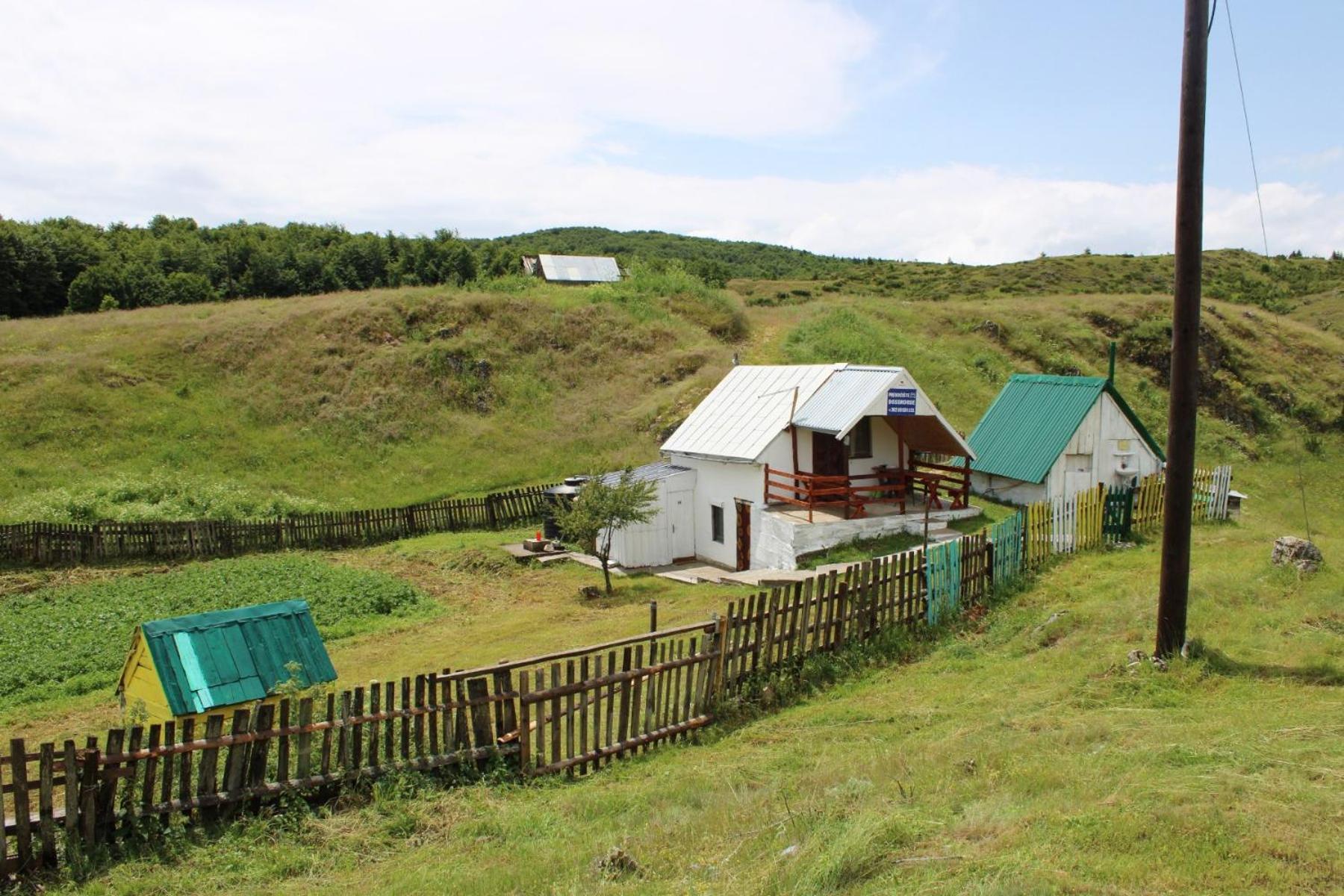 Weekend House In The Piva Nature Park 플루지네 외부 사진